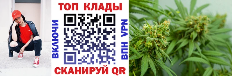 Наркотические вещества Будённовск Бошки Шишки  Codein  СОЛЬ  Мефедрон  Гашиш  COCAIN  Галлюциногенные грибы 