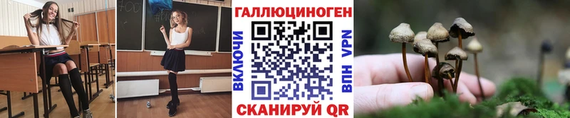 МЕГА ссылка  Будённовск  Псилоцибиновые грибы Psilocybe  купить  